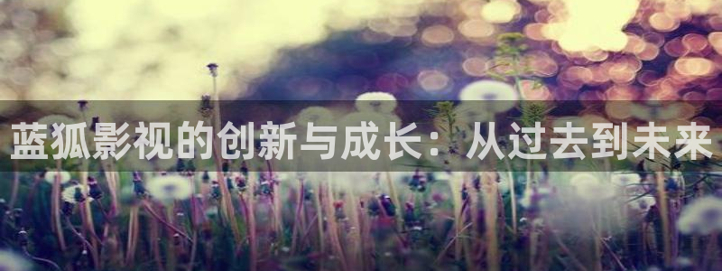 久久99爱免费视频视频