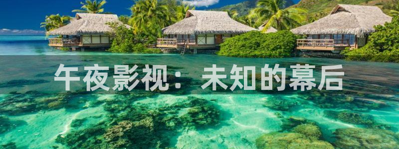 久久精品性感视频