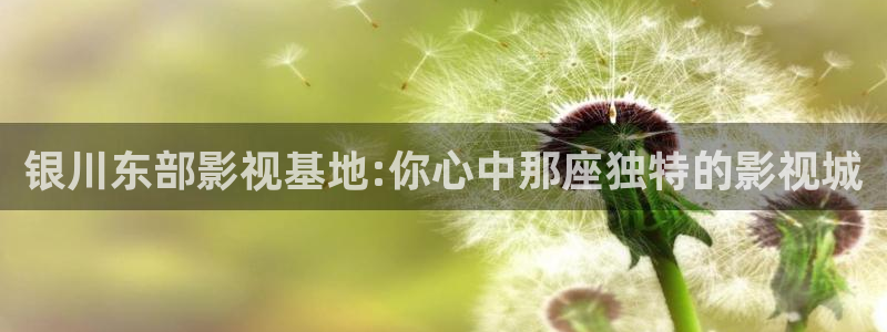 热久久视频