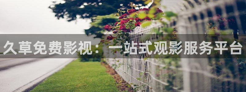 热久久动漫视频