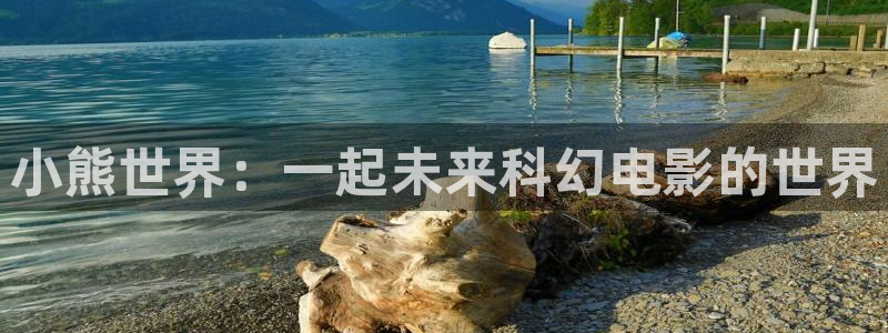 久久影院欧美日韩