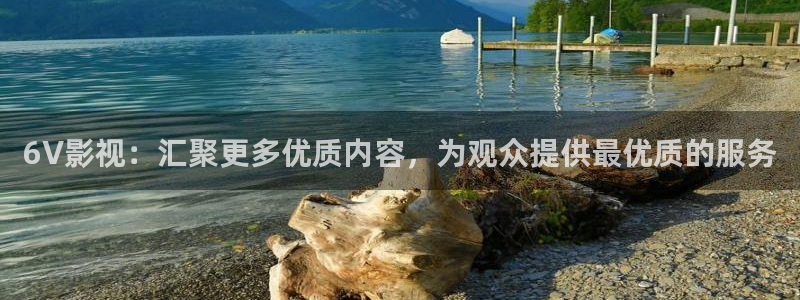 久久做免费视频