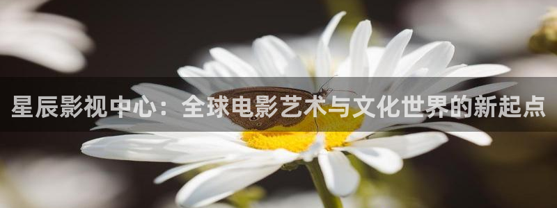 久久视频精品在线免费