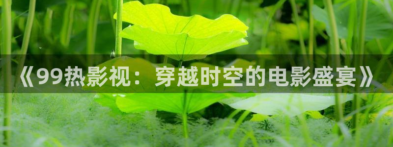 久久视频精选