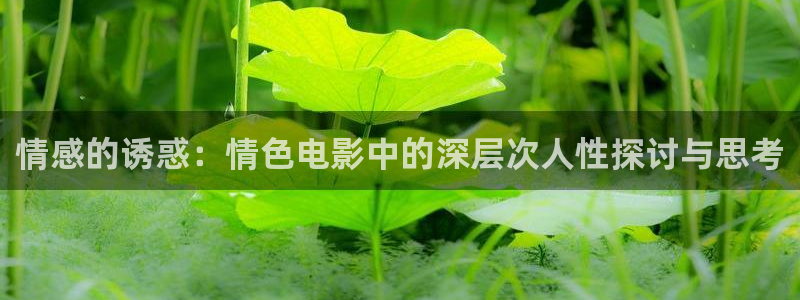 久久大香视频