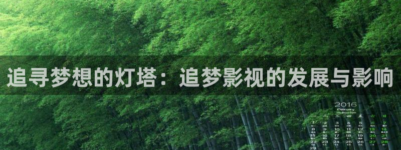 久久这些视频