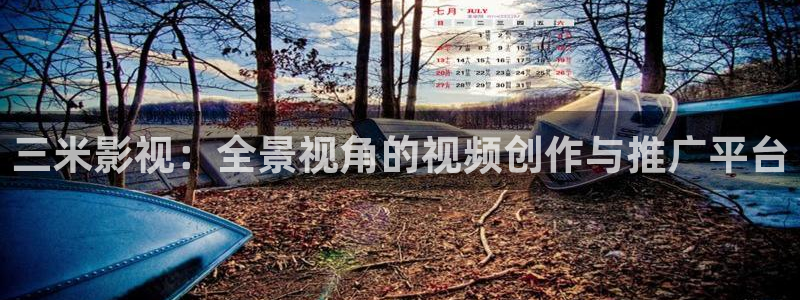 久久久叼嘿视频