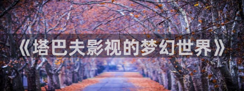 久久精品视频三级